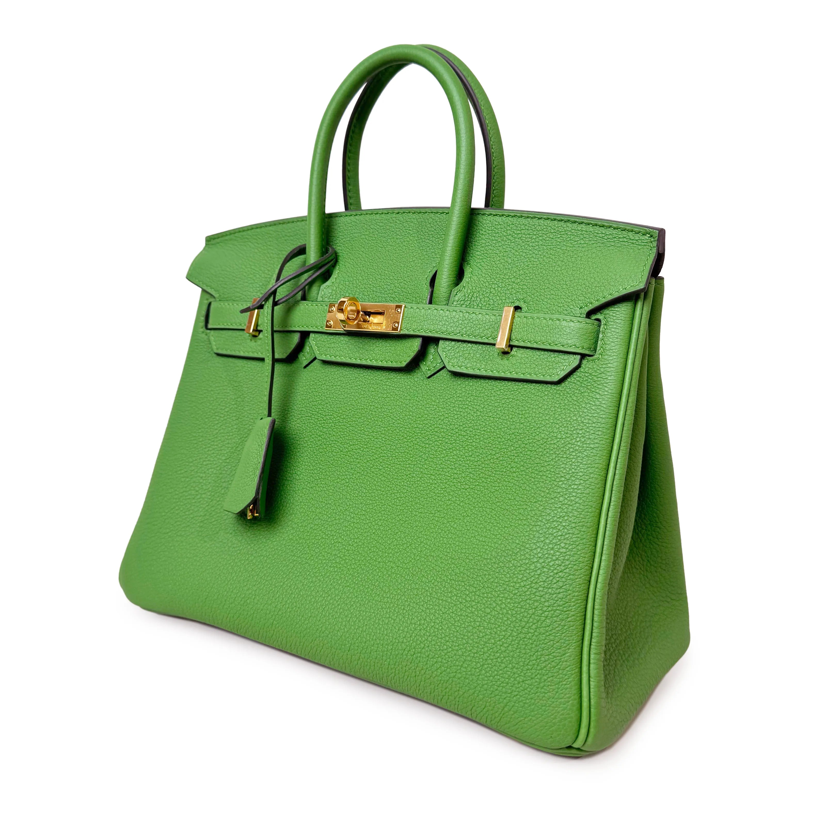 Hermès Birkin 25 Vert Yucca Togo GHW