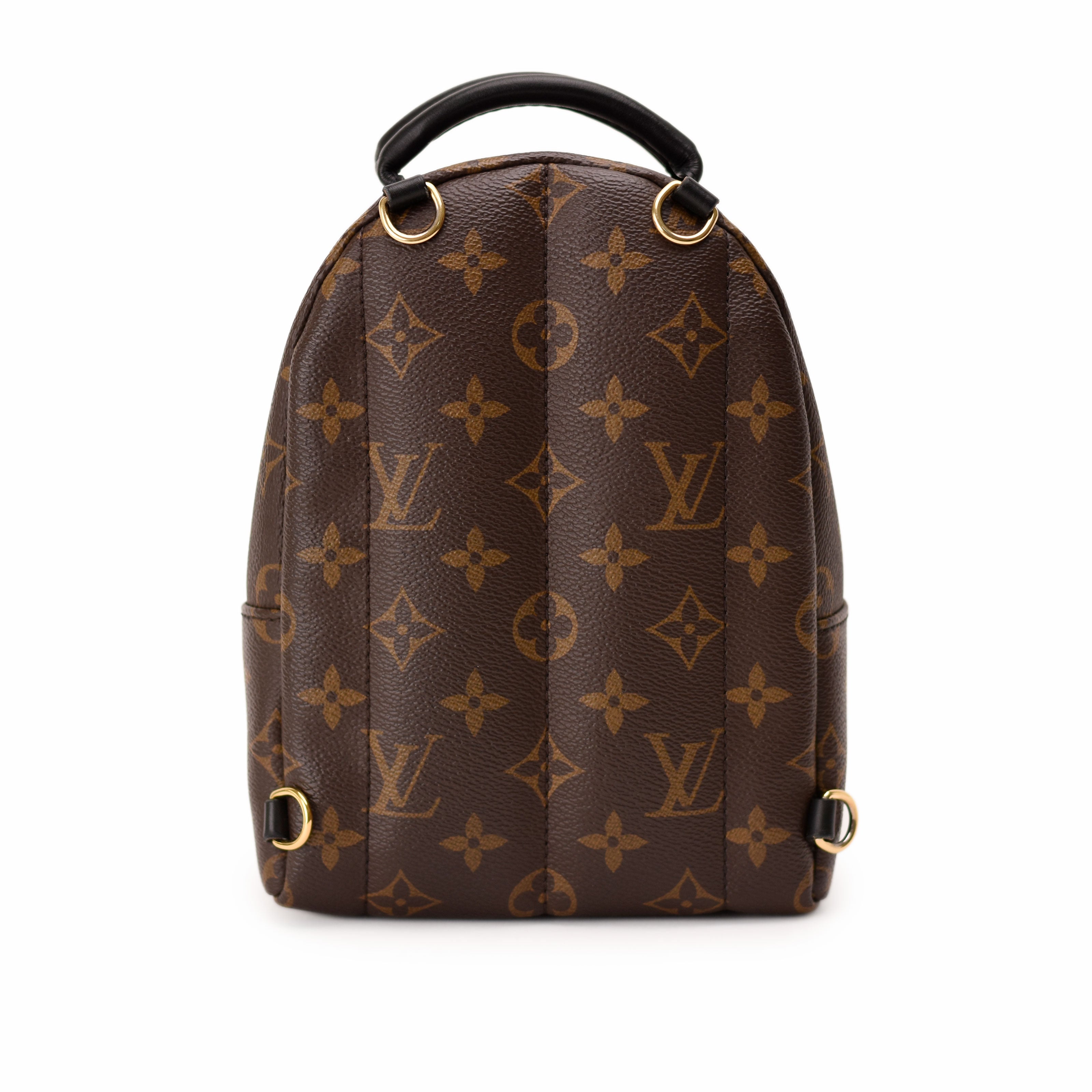 Louis Vuitton Palm Springs Mini Monogram
