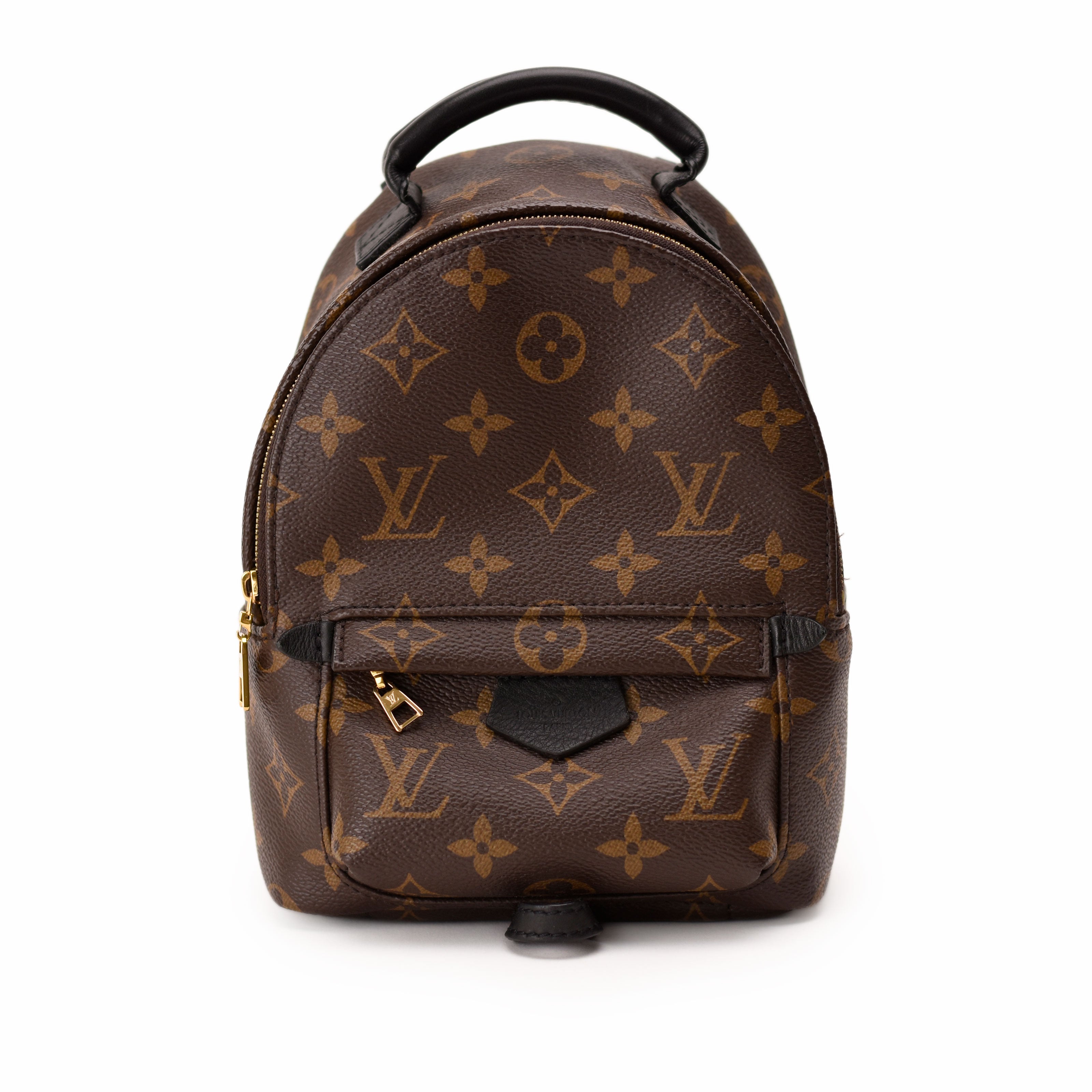 Louis Vuitton Palm Springs Mini Monogram