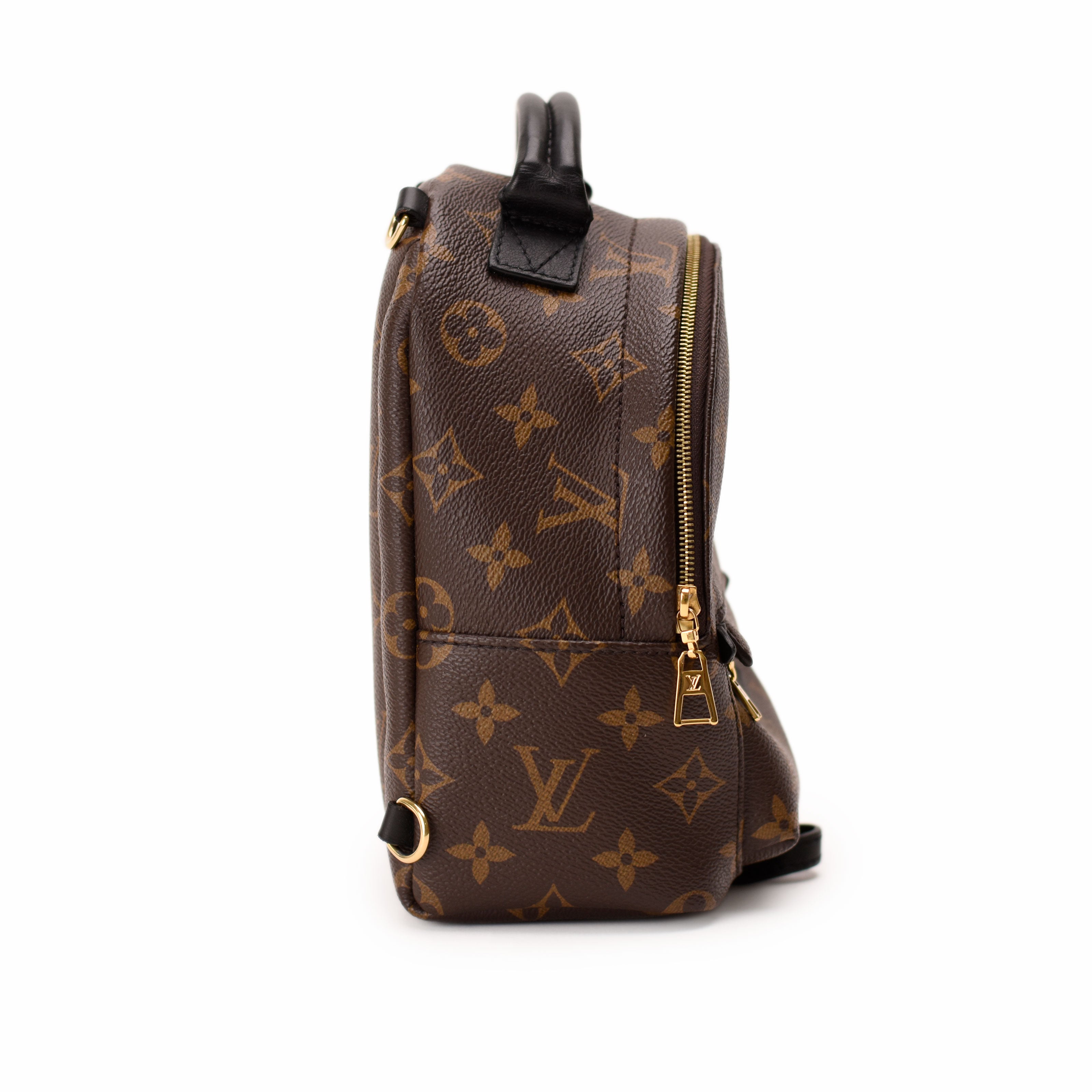 Louis Vuitton Palm Springs Mini Monogram