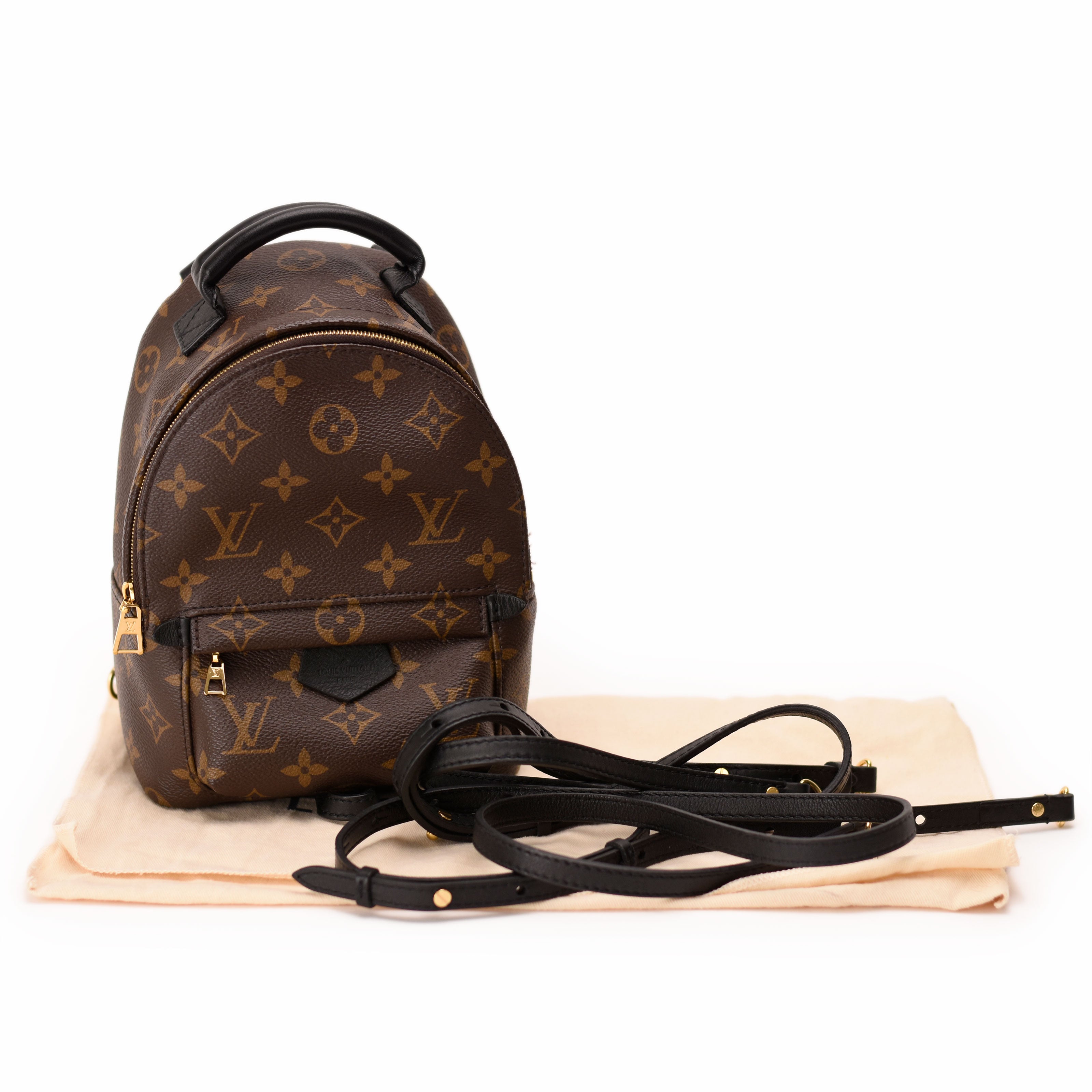 Louis Vuitton Palm Springs Mini Monogram