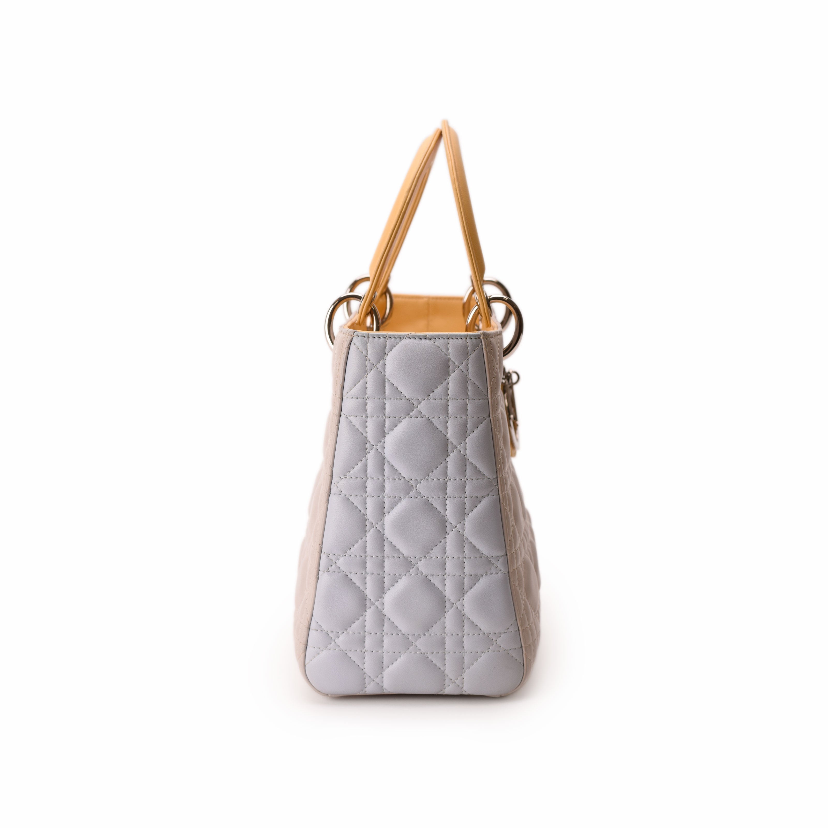 Dior Lady Dior Medium Tri-Color
