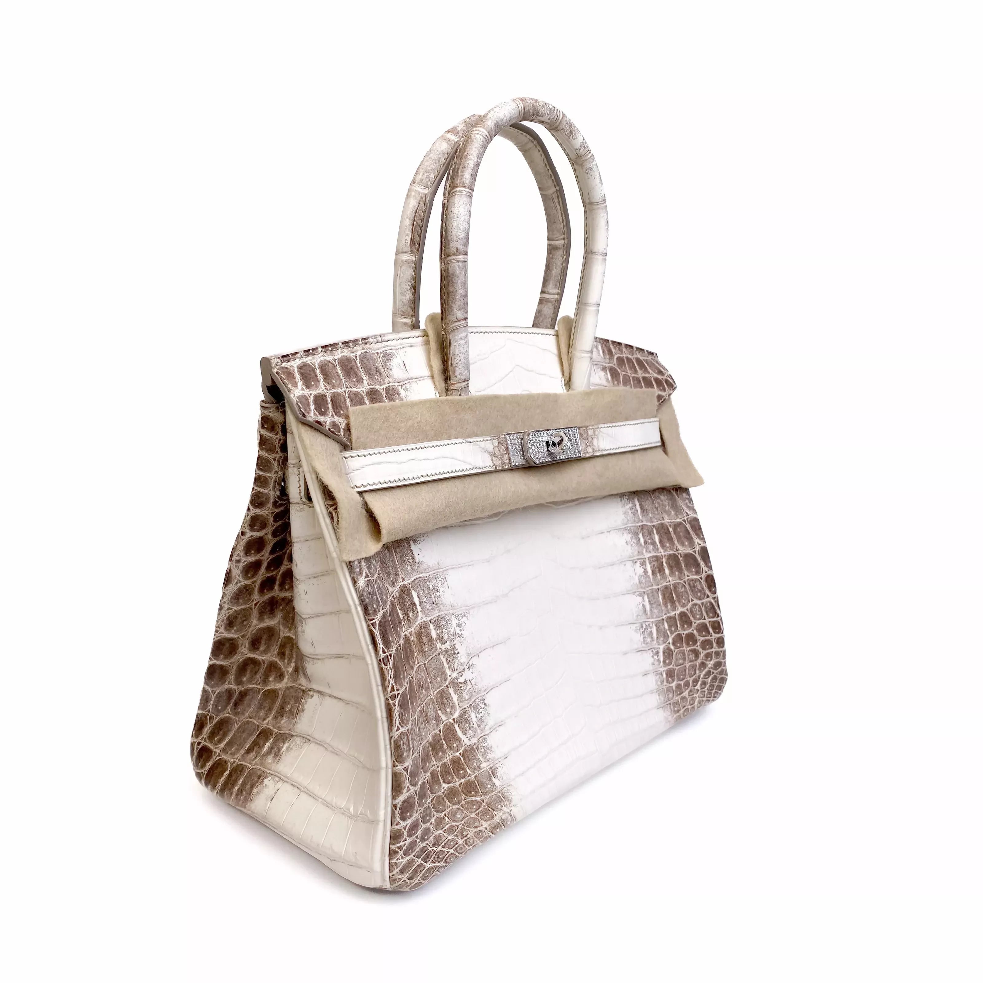 Hermès Birkin 30 Himalaya Niloticus Crocodile Diamond Palladium Hardware Left