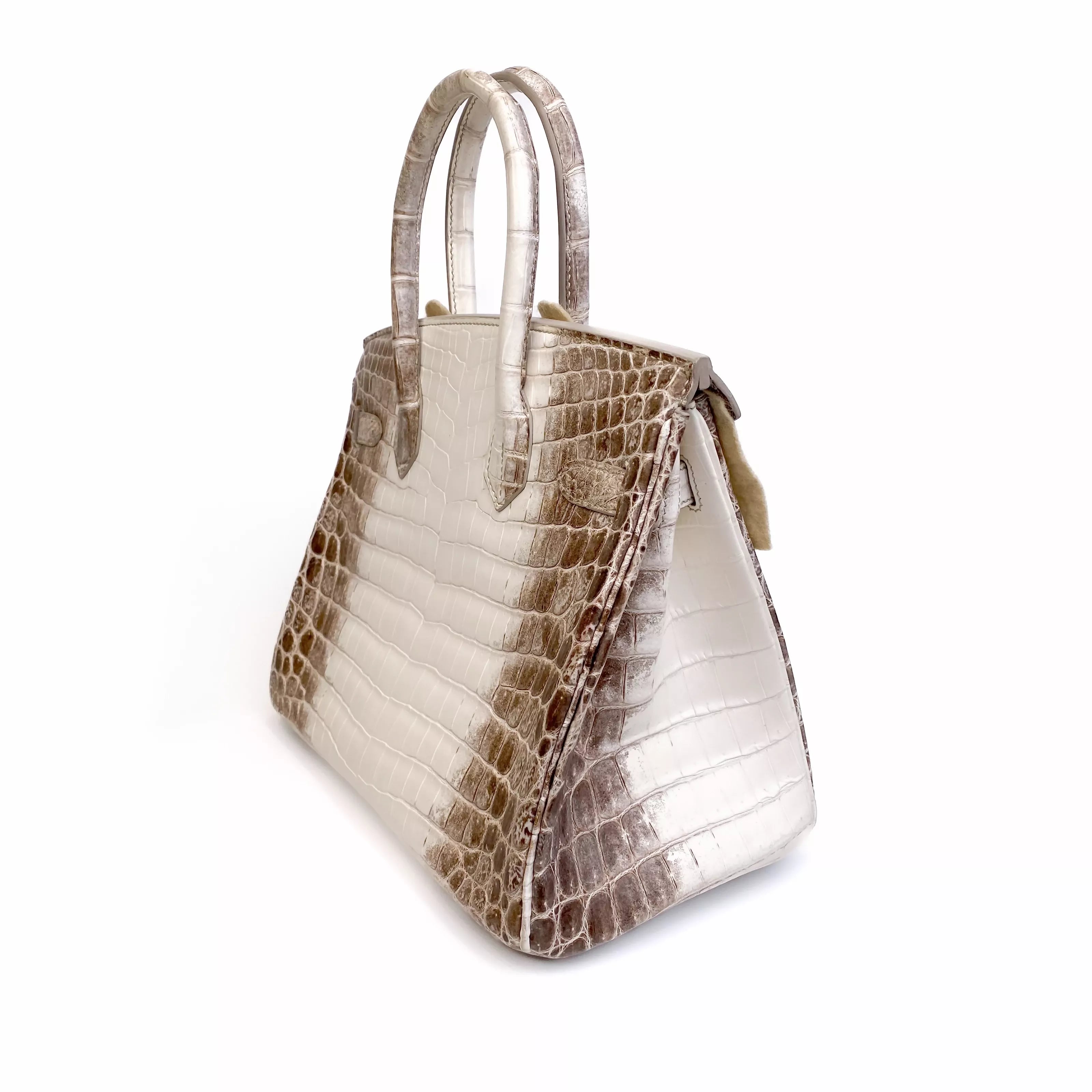 Hermès Birkin 30 Himalaya Niloticus Crocodile Diamond Palladium Hardware Back Side 2