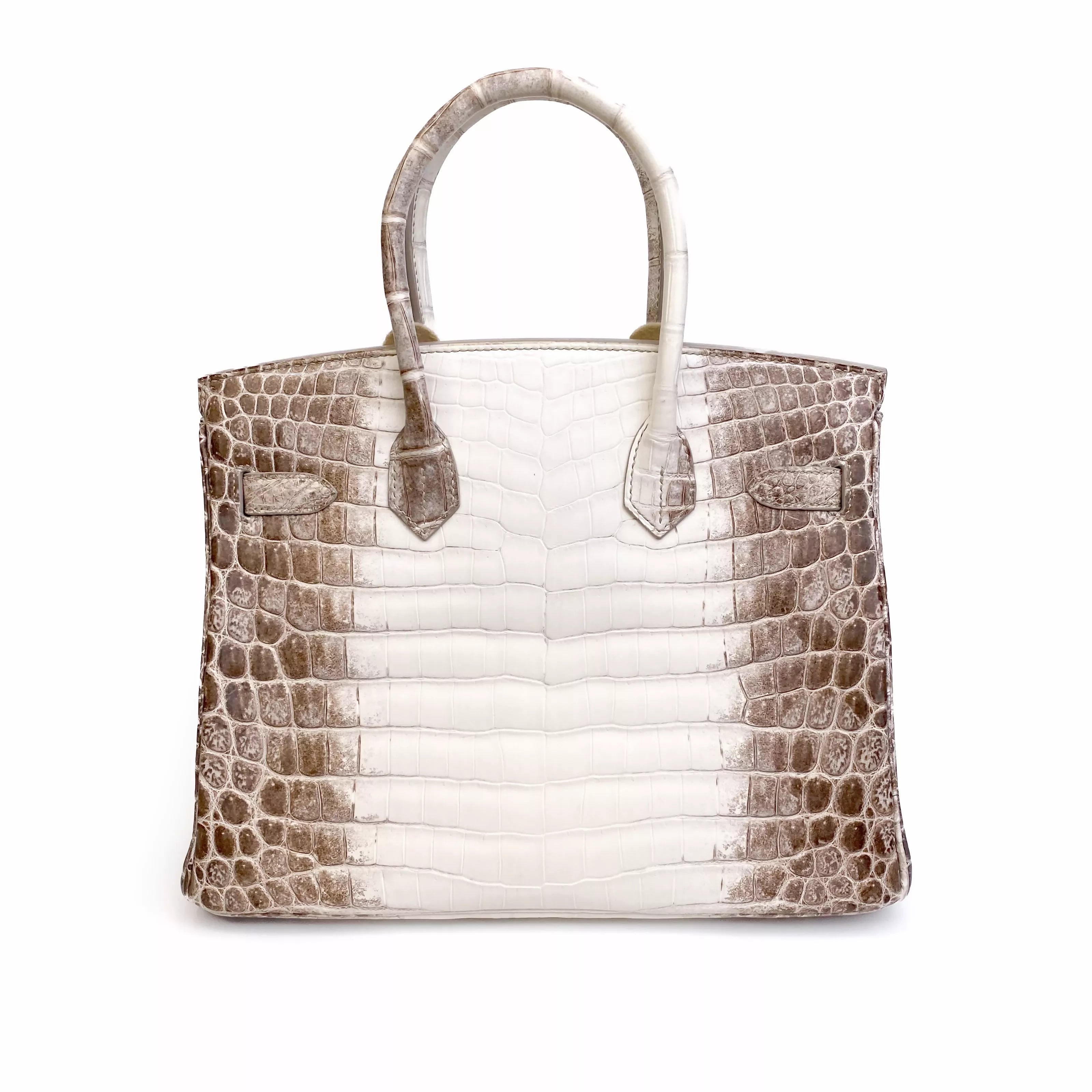 Hermès Birkin 30 Himalaya Niloticus Crocodile Diamond Palladium Hardware Back